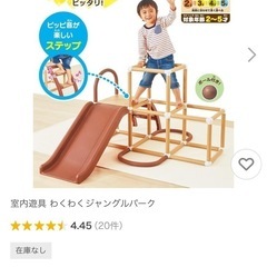 室内遊具　わくわくジャングルパークの画像