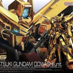 RG アカツキ