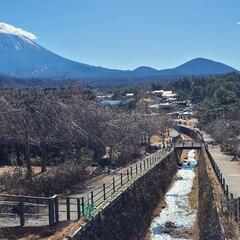 一緒に富士山いきませんか？