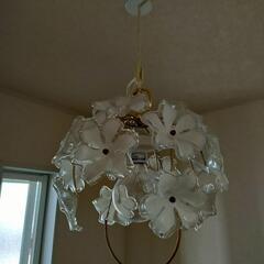 マナベ　照明　器具　電球の画像