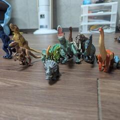 アニアセットの画像