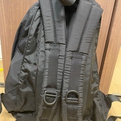 GREGORY ブラックバックパック
の画像