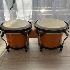 島村楽器　音音　ボンゴの画像