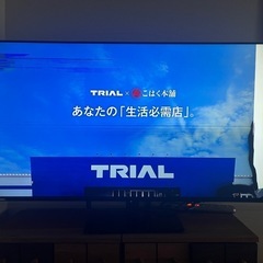 決まりました　大型TV OL50XD100 ORION 50型液...