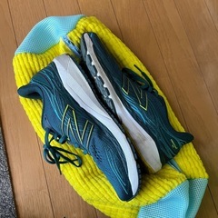 上履き、靴 洗濯用ネットの画像