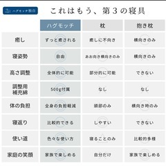 【正規品】ハグモッチ　エレガントグレージュの画像