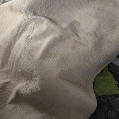 フランフラン購入のラグ