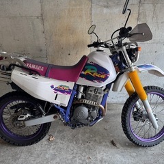 【低走行】YAMAHA  TTR250Rレイド