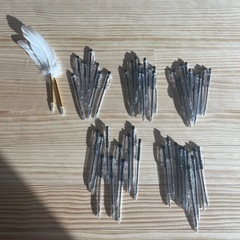 ボールペン47本＋羽ペン2本