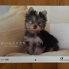 ※差し上げます※ 　2025年　子犬のカレンダー