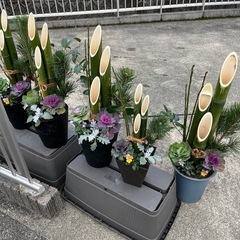 お正月　門松　かどまつの画像