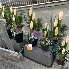 お正月　門松　かどまつ