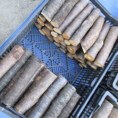 ■(完売) :薪・『 桜 』の広葉樹・・中枝 / 原木の画像