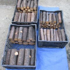 ■(完売) :薪・『 桜 』の広葉樹・・中枝 / 原木の画像