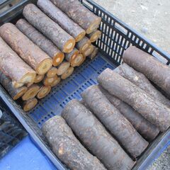 ■(完売) :薪・『 桜 』の広葉樹・・中枝 / 原木の画像