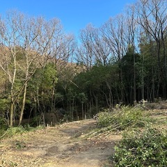 クヌギ及び雑木　薪ストーブなどにどうぞ