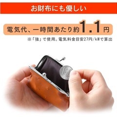 アイリスオーヤマ　電気毛布の画像