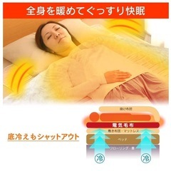 アイリスオーヤマ　電気毛布の画像