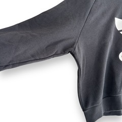 adidas アディダス アディダスオリジナルス パーカー クロップド丈 デカロゴ レディース Ｌサイズの画像