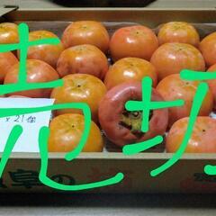 富有柿【訳あり】岐阜県産