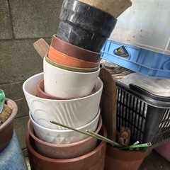 鉢あげますの画像