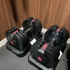 ライシン　可変式ダンベル
