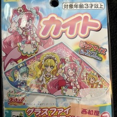 カイト　凧上げ　新品の画像