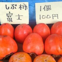 富士【渋柿】熟し気味