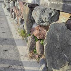 石垣、土留石、庭石差し上げます。の画像