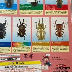 新品未開封カブトムシ、クワガタ、おもちゃの画像