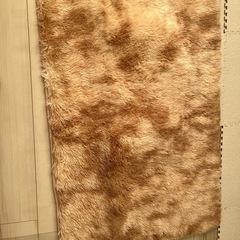 カーペット未使用