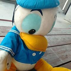 ディズニー ドナルドダック ぬいぐるみの画像
