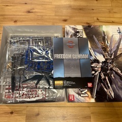 未組立品 機動戦士ガンダムSEEDデスティニー 1/100MGフリーダムガンダム