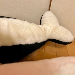 大型シャチの画像