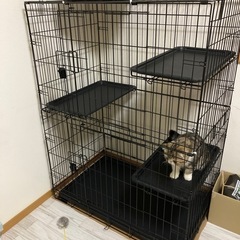 折りたたみ式 キャットケージ
　  