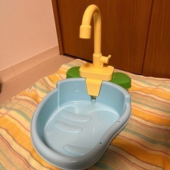 インコ　バスタブ