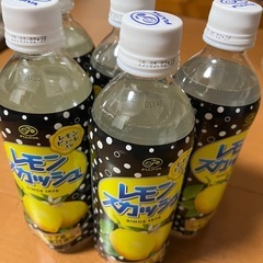 不二家レモンスカッシュ19本