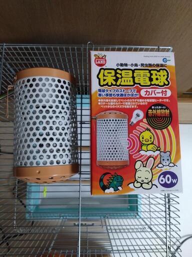 【1回使用のみ】ひよこ電球60W
