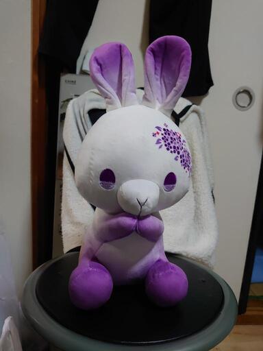 うさぎのぬいぐるみ、2点セット