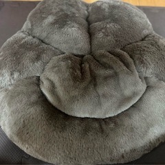 【決まりました】 TAITO限定 肉球クッション ウルトラMEGA 新品、未使用の画像