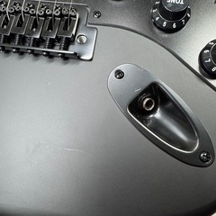 セルダーエレキギターストラトキャスター SELDER / Stratocaster Costum STC-4 の画像