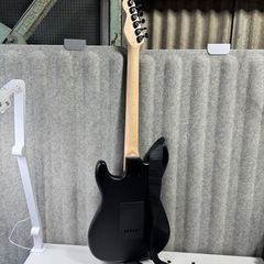 セルダーエレキギターストラトキャスター SELDER / Stratocaster Costum STC-4 の画像
