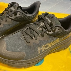 値下げしました。HOKAスノーシューズの画像