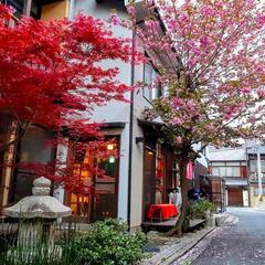 京都東山・フリアコスタッフ・給料あり・英語で仕事・ゲストハウス・...