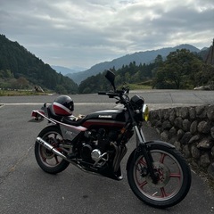    z550gp 400登録の画像