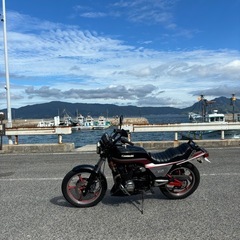   z550gp 400登録の画像