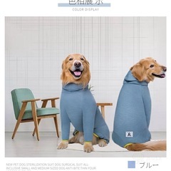 楽天1位✨犬✨皮膚保護服✨抜け毛防止服✨の画像