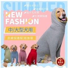 楽天1位✨犬✨皮膚保護服✨抜け毛防止服✨
