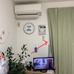 カーテン　ニトリ　レーベル　シャーメゾン　黄緑