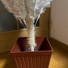クリスマスツリーの画像